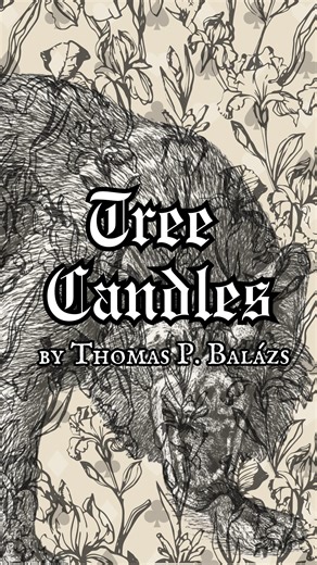Feign Fiction Magazine on Instagram: "Opposite the tree candle, on the other side of the campfire, there was something that looked like a throne, two slabs of rock, one for the seat, one for the back, and before the throne, a third slab like a table. There was only the light of the fire and the tree candles. No one had brought flashlights, so everything was in flickering shadows, but the table seemed as though it was stained from years of spilled beer and wine. “Who built this place?” you asked.