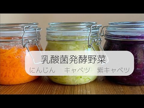 【乳酸菌発酵野菜の作り方】 人参、キャベツ、紫キャベツ