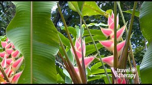 Top Unique Nature Adventure and Best Beaches in Martinique | TRAVEL THERAPY with Karen Schaler