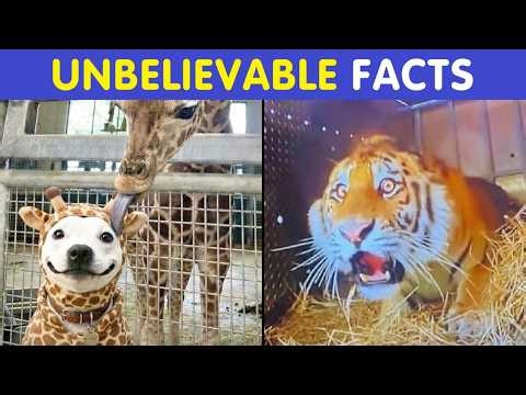 Amazing World Facts That Will Blow Your Mind 🌍