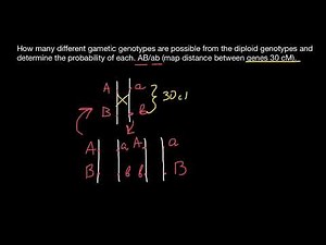 Centimorgans | Chromosome recombination | Gene recombination