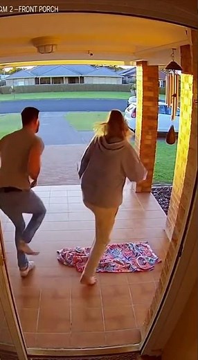 Wild Kangaroo Grabs Baby in Backyard — Parents Sprint After! 😱🦘