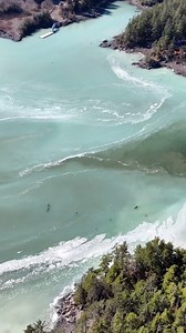 3.3K views · 2.8K reactions | Herring spawn over Kasiana Islands in Sitka, Alaska  Video by @sleepyjoshua with @gori3climbing and @louisebrady4727 #visitsitka #sitkaalaska #sitka #travelalaska #southeastalaska | Visit Sitka | Facebook