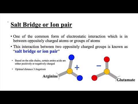 Non-covalent Interactions - Part 1 (Protein)