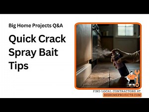 Fast Pyrethrin Crack Spray With Bait Pairing Tips