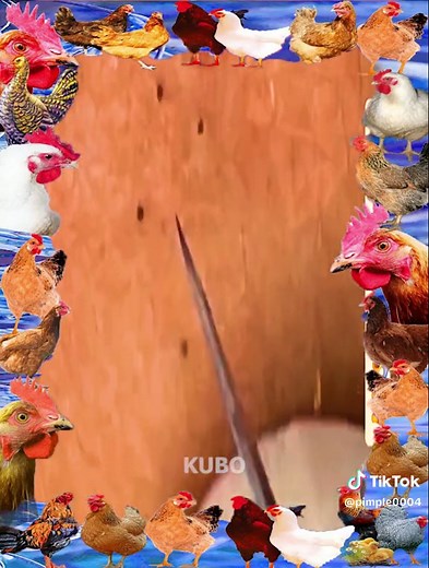 Great! #pimplepop #blackhead #pimple #pimples