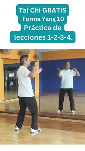 GRATIS Tai Chi. Práctica de Lecciones 1, 2, 3, y 4. Forma Yang 10.