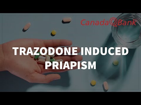 Trazodone-Induced Priapism: Uses, Side Effects & Clinical Vignettes | CanadaQBank