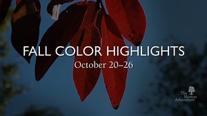 5.5K views · 187 reactions | Color is continuing to come into our...