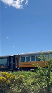 Dunedin Railways Cruise Ship Charter Returning From Pukerangi On 14/11/2025 #dunedin #train