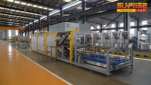 裹包机（case packer） 装箱机 纸包机