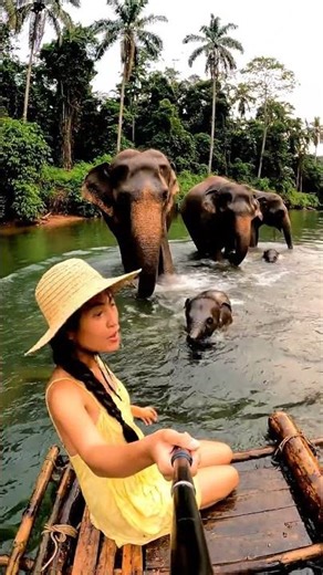 Wild Elephants Block My River Float! 🐘😱💦