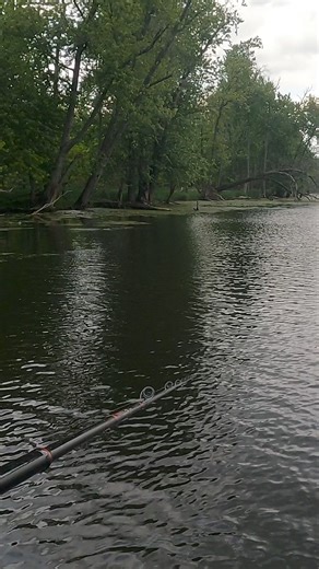 Shmoked er 💨 •••#predatorfishing #muskiefishing #predatorfish #reelsfbシ #reelsviralシ #muskie #muskiefishing #musky #muskyfishing #reels #fishingreels #figure8 #michiganfishing #fishmichigan #pikefishing #choastackle #muskienetwork #michigan #xpressboats #diawa #shimano #fishinglife #muskienation #muskiedays #muskyhunter #bigfish #fishingday #muskynation | SBS Outdoors
