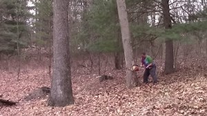 Extreme Chainsaw Machines – Fastest Tree Cutting in Action