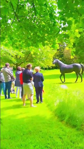 Step Inside Ireland's Legendary Horse Country: Behind-the-Scenes at Fethard & Coolmore Stud 🏇🇮🇪