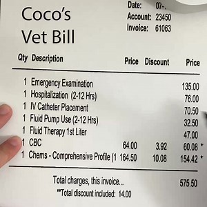 OTTO Insurance on Reels