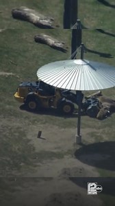 42-year-old elephant Ruth receives a life-saving lift after being unable to stand for over an hour. Watch as the Milwaukee County Zoo crew orchestrates an unconventional rescue to save the more than 6-ton elephant. More about Ruth's health: https://tinyurl.com/2muy9u2v | WISN 12 NEWS