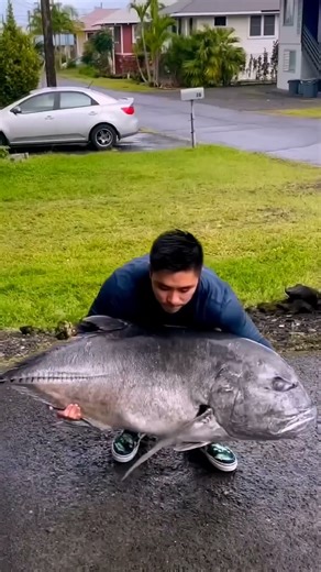 Giant Trevally: The Ultimate Apex Predator #facts #didyouknow #mindblowingfacts