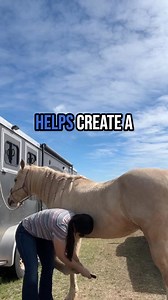 375 reactions · 22 shares |  Most Horse Owners Miss This  Poor foot...