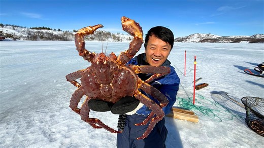 ALL YOU CAN EAT ARCTIC KING CRAB Safari in Norway! Catch, Cook and FEAST on the Fjord