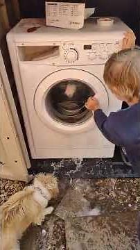 Experiment - open and closing the Door on Extremely overfilled washing machine with water