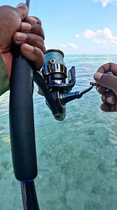 When the Fish Fights Back – And Still Loses! #fishing #fish #fishinglife #catchandrelease #bassfishing #nature #outdoors #carpfishing #fishingislife #angler #pesca #bass #carp #flyfishing #fisherman #fishingtrip #largemouthbass #fishingaddict #trout #bigfish #hunting #saltwaterfishing #photography #pike #angling #fishingdaily #shimano #fishon #angeln #sea | The life of a fisherman