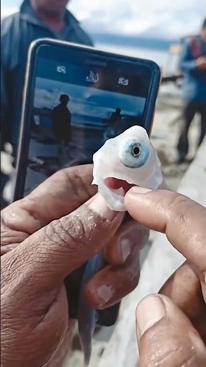 WTF! Fisherman Puts His Finger Inside This Strange Fish