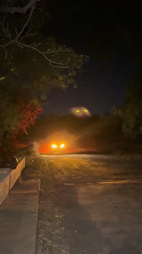 El más guapo de san Miguel 🦅🇸🇻 #viral #parati #fyp #comedia | guapo