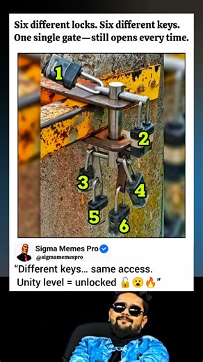 Six Locks. One Gate. Mind = Blown 🤯🔐