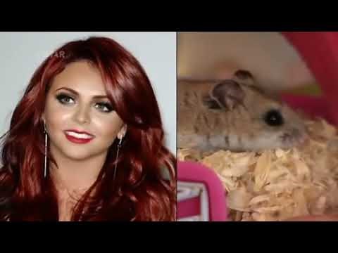 Benefits Britain - Life On The Dole