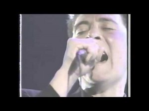 Tribute 1990 Crying K D Lang