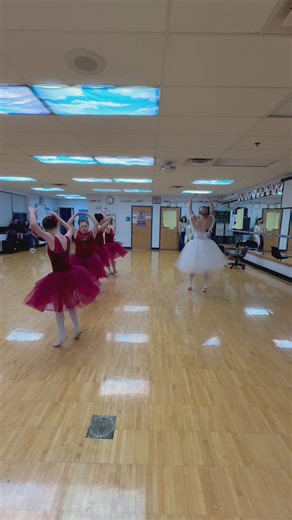 Purple Tutu program pairs high school dancers with those who have disabilities