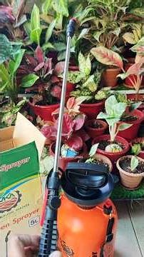 Best Garden Sprayer for Plants? Honest Review | Gardening Tools India