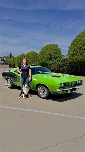 Why I Drive a 1971 Plymouth Cuda 340