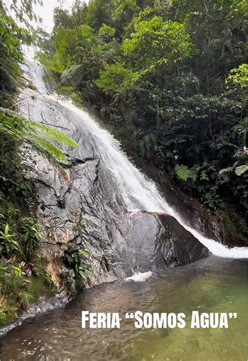 Feria Ambiental “Somos Agua”: Consciencia y Acción
