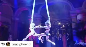 Lucent Dossier Experience on Reels