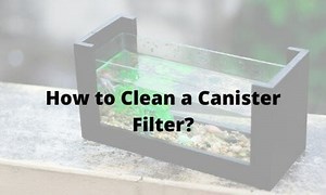 How to Clean a Canister Filter (10 simple steps guide with video)