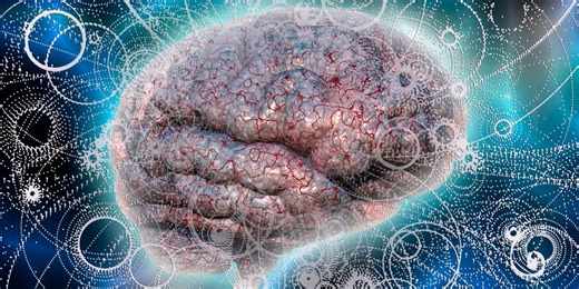 This Doctor Says He Knows How the Brain Creates Consciousness. New Evidence Suggests He’s On to Something.