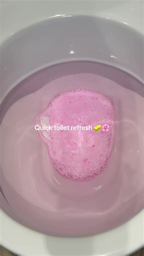Quick Toilet Refresh: A 30-Second Bathroom Clean