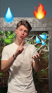 C’EST QUOI UN BIOTOPE ? 🍃