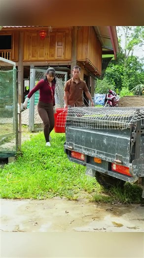 Harvesting Tips for Your Survival Garden