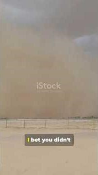 #11 Sand from the Sahara literally fertilizes the Amazon rainforest #facts #amazon #nature #viral