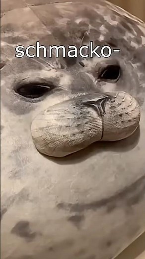 Die Robben Tanzen🦭.#shorts from‪@2homiedawgs‬