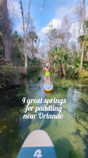 Never board on the water 😊🌊 . Beaches may get all the love when people talk about Florida but the springs here are unreal too. Our favorite way to see them is with a SUP or kayak, here are our favorites near Orlando. . 📍Silver Glen Springs, Ocala National Forest, 1hr 30 min from Orlando. $10 entry fee. . 📍Kelly Park/Rock Springs, Apopka, 45 min from Orlando. $3 fee per car . 📍Blue Spring State Park, Orange City, 1hr from Orlando. $6 fee per car . 📍Wekiwa Spring State Park, Apopka, 30 min f