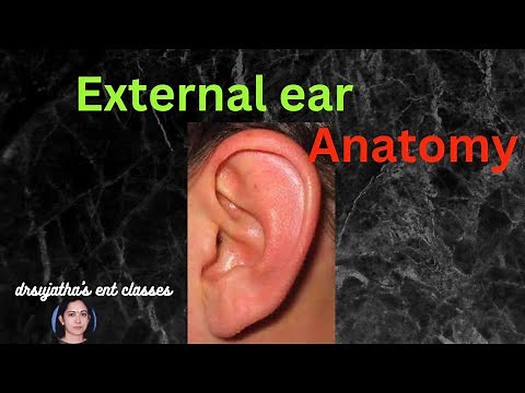 002. External Ear Anatomy #anatomy of pinna #External auditory canal