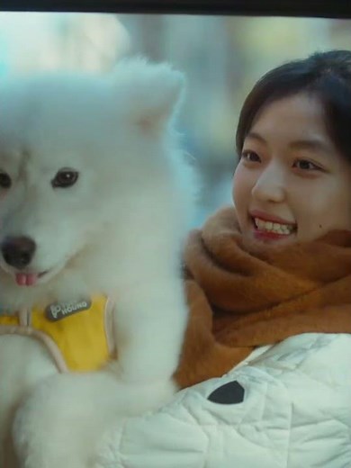 Luan Nian and Shang Zhitao began a happy life with just the two of them and a dog🐶| The Early Spring