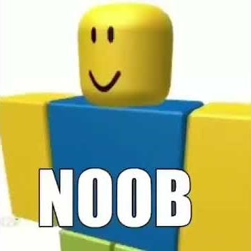 Top 10 N words