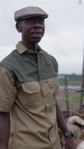 GMSHINGI on Instagram: "No reverse deal. Tsano Charle EP 5 out now. #zimcomedy #series"