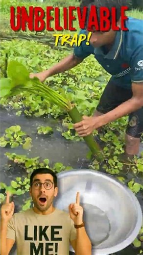 UNBELIEVABLE TRAP! Traditional fishing method That SHOCKED Everyone