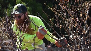 Colorado spring tree, lawn and garden tips: When and how to start your season off right